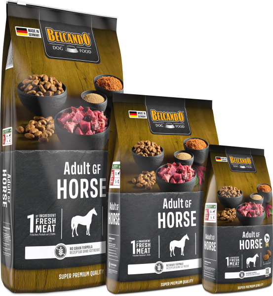 Belcando - Adult GF Horse